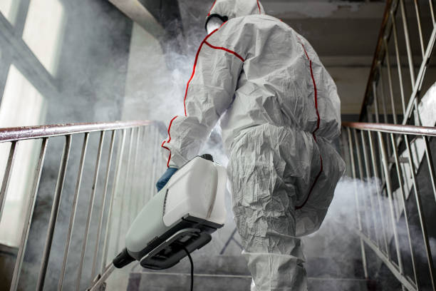 Best Mold Remediation for Healthcare Facilities  in Salamanca, NY